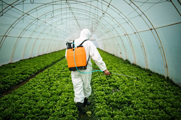 Best Pest Control Near Me  in Phoenix Lake, CA