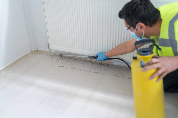 Best Exterminator Services  in Phoenix Lake, CA